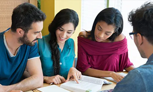 College Admission Consultant